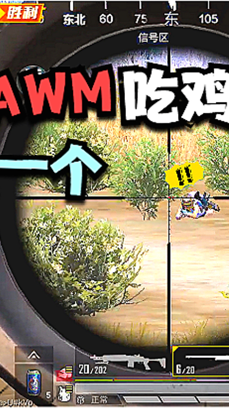 挑战用AWM吃鸡!