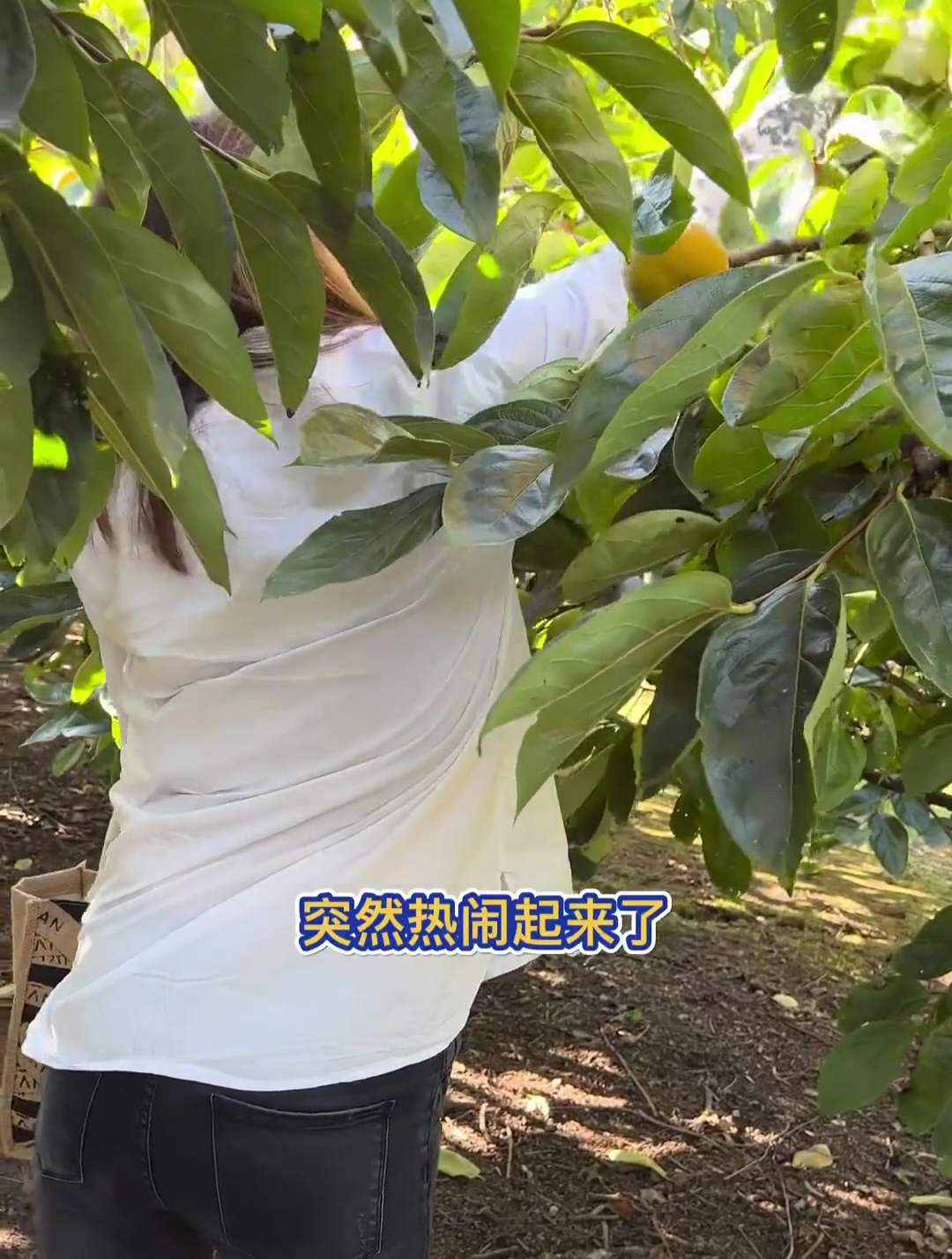 本视频中隐藏亮点 你发现了吗?