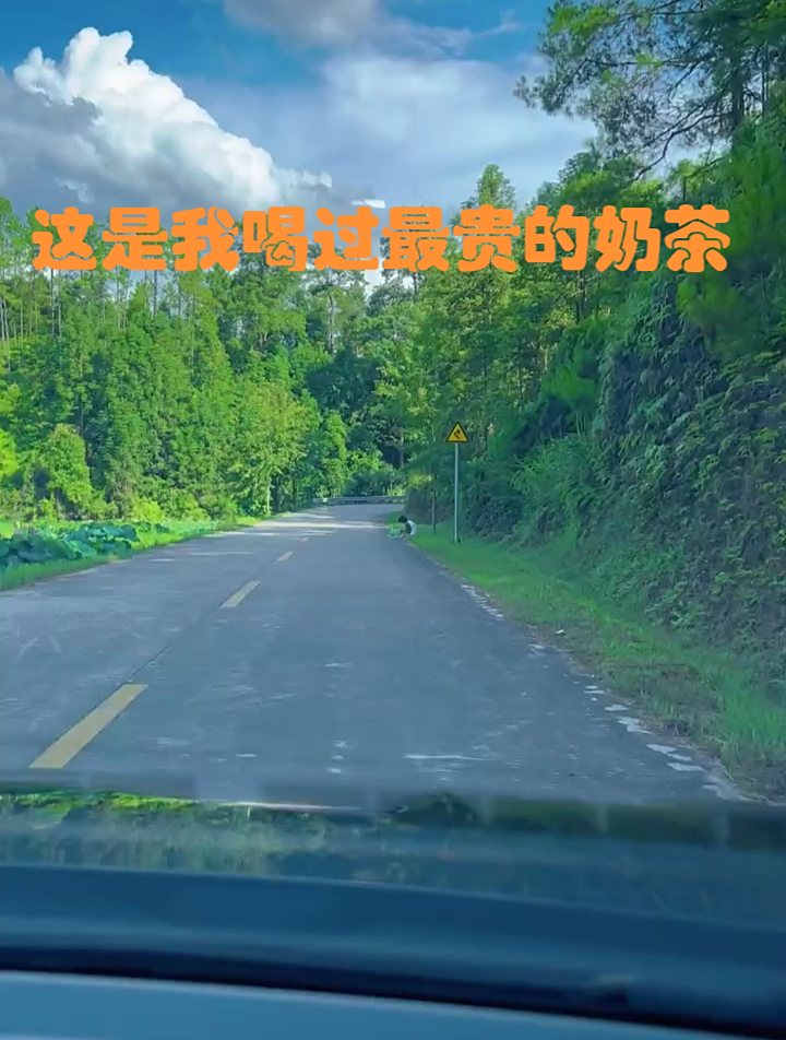 这是我喝过最贵的奶茶