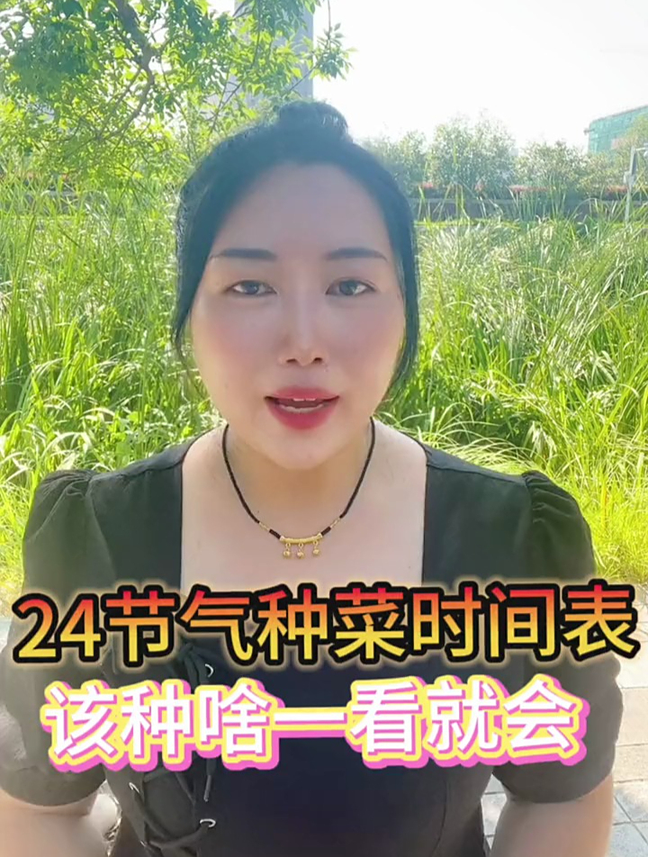 24节气种菜时间表,每天分享蔬菜种植技巧