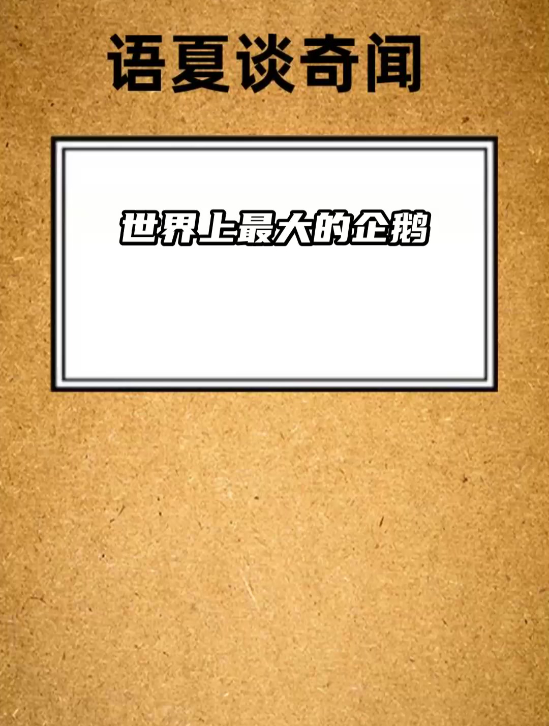 世界上最大的企鹅