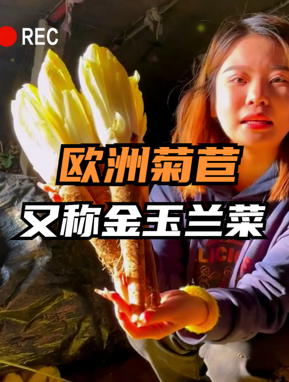 欧洲引进的“贵族菜”,九成人没吃过,殊不知跟才是宝贝!