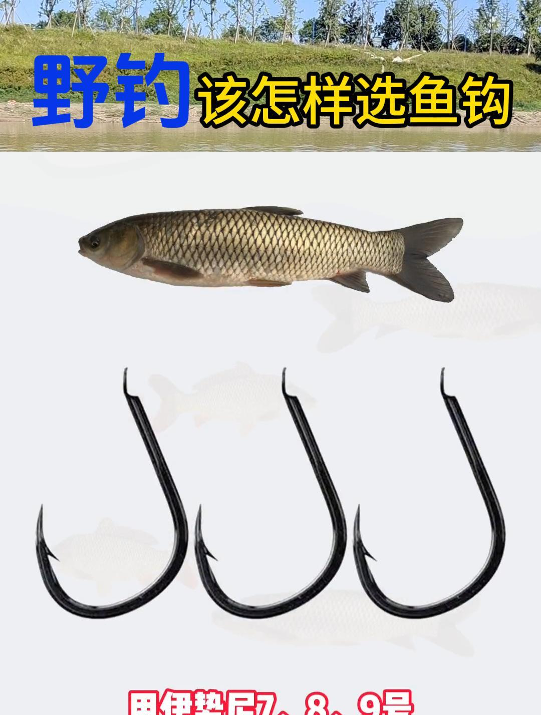 野钓用多大的鱼钩?该怎么选鱼钩?鱼钩选对了轻松爆护
