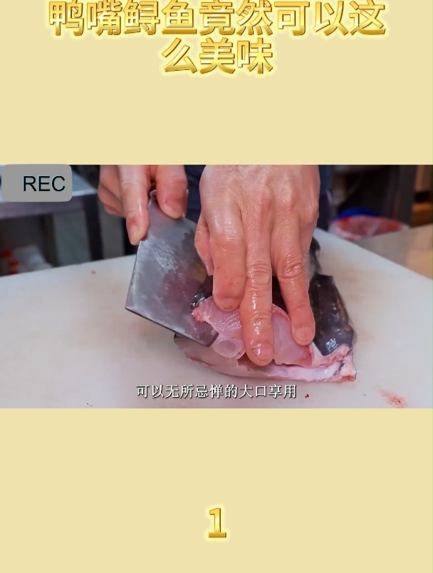 鸭嘴鲟鱼竟然可以这么美味1