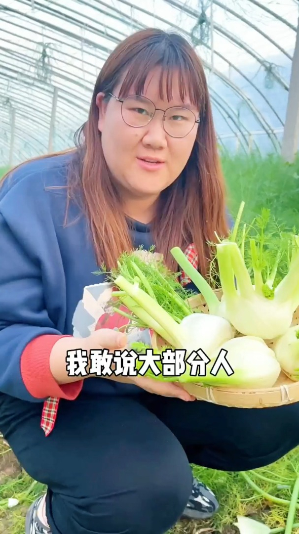 球茎茴香你吃过吗,它可以凉拌热炒包包子,特别适合春天种植