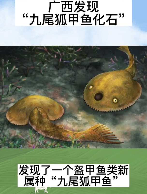 广西发现“九尾狐甲鱼化石”