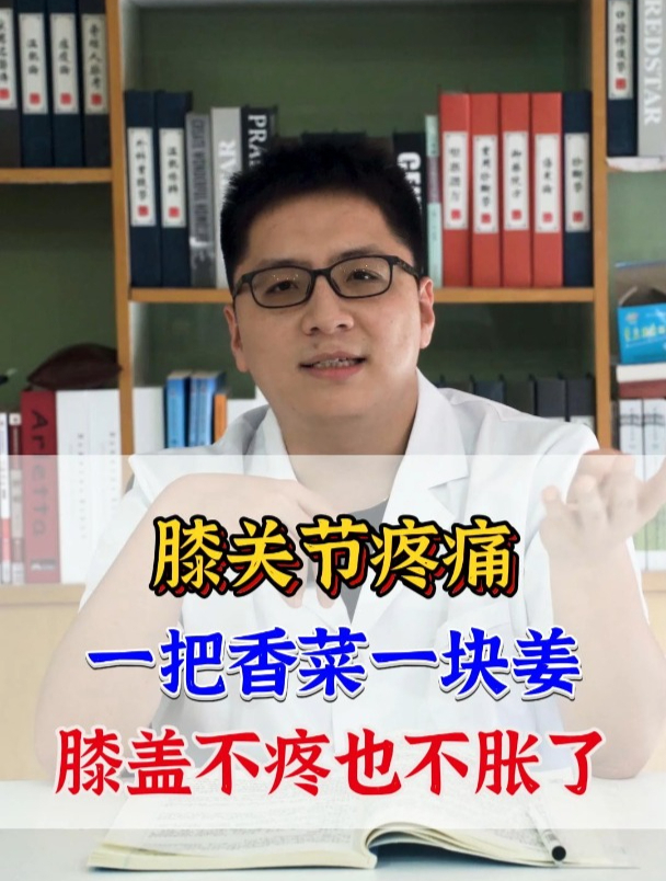 膝关节疼痛 一把香菜一块姜 膝盖不疼也不胀了