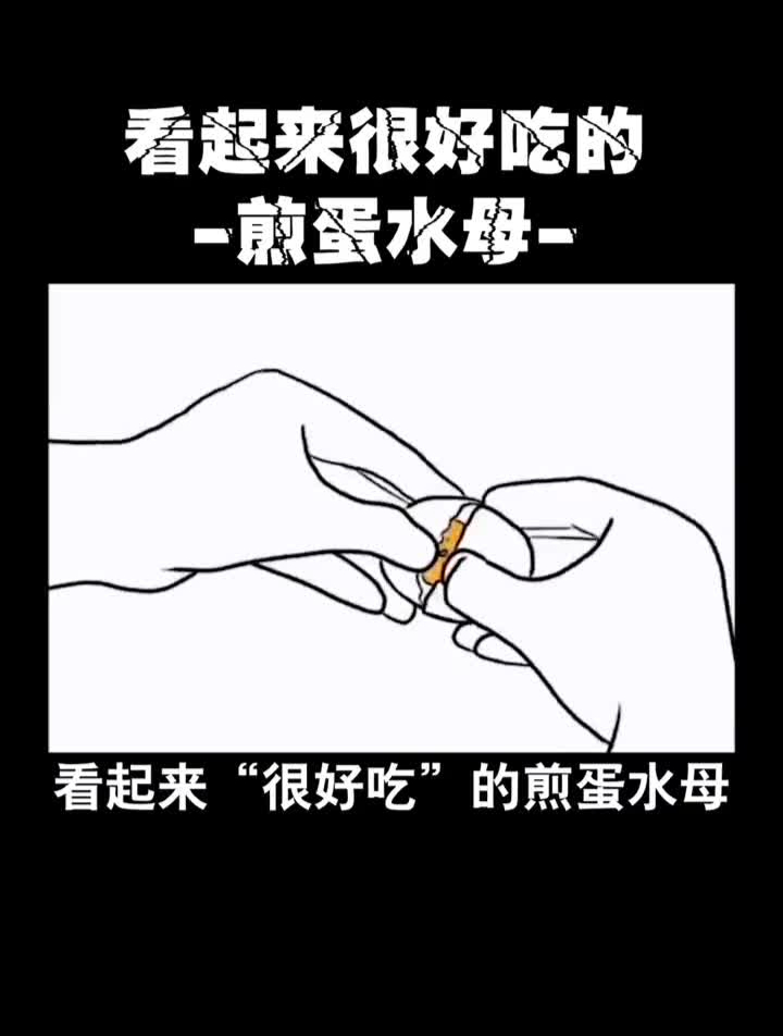 看起来很“好吃”的煎蛋水母