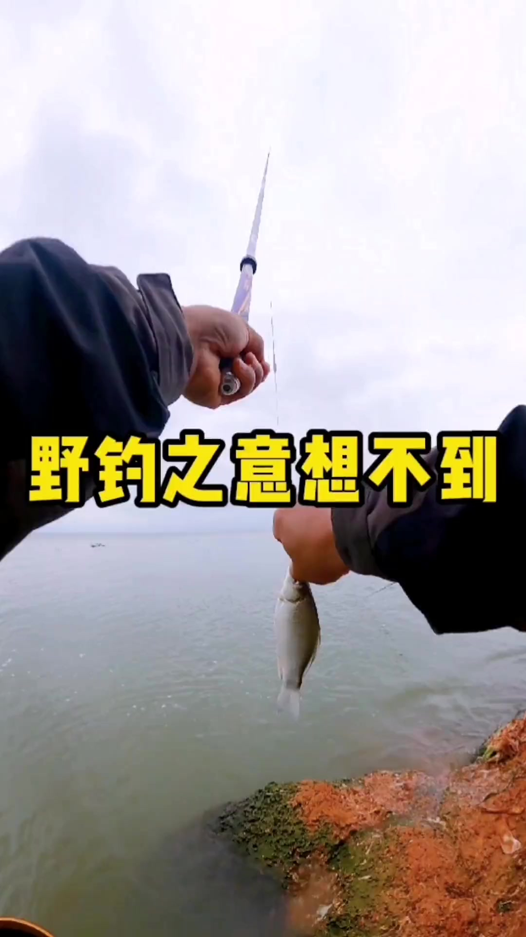 本以为鱼情惨淡,不料晚餐油炸鳑鲏配小酒