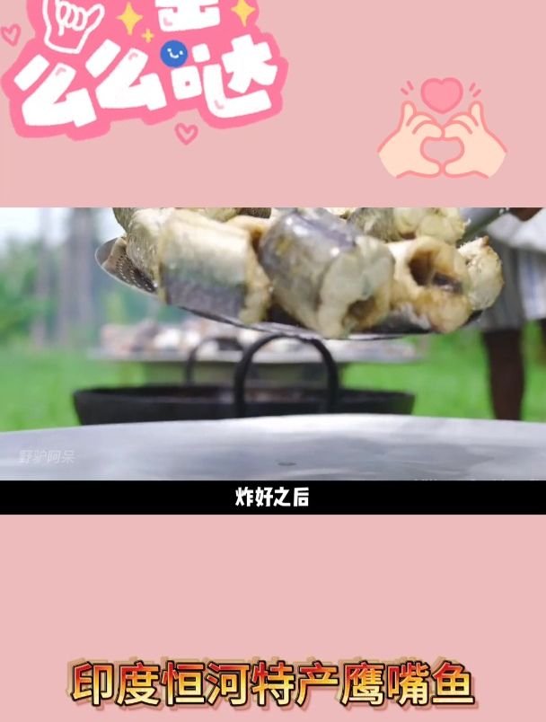 印度恒河特产鹰嘴鱼2