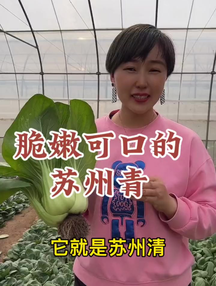 香嫩可口的大油菜来了