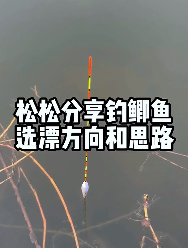 钓鲫鱼用什么鱼漂?钓鲫鱼如何调漂?钓鲫鱼的选漂和调漂技巧!