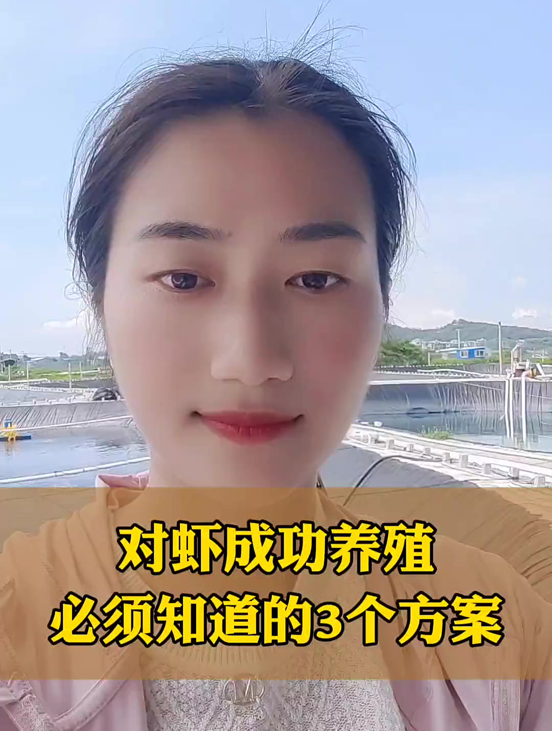 南美白对虾:对虾成功养殖的3个方案