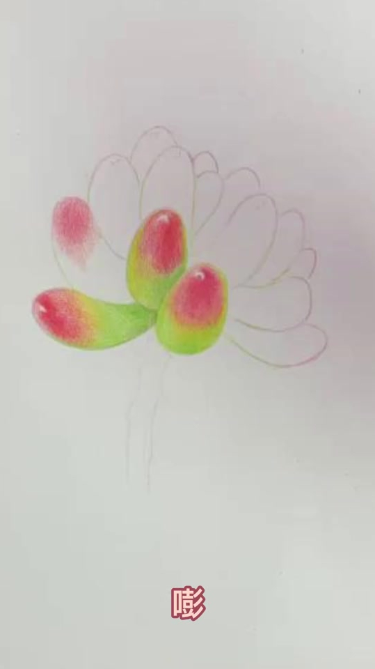 彩铅画,你们也喜欢多肉吗