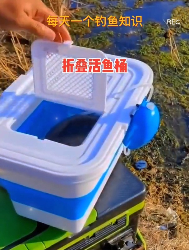 钓到鱼还没回家就翻肚?老钓友支1招,鱼儿活蹦乱跳带回家!