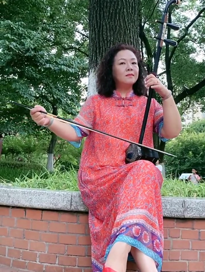 二胡演奏《苦菜花》
