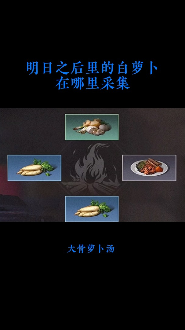 明日之后里的白萝卜在哪里采集