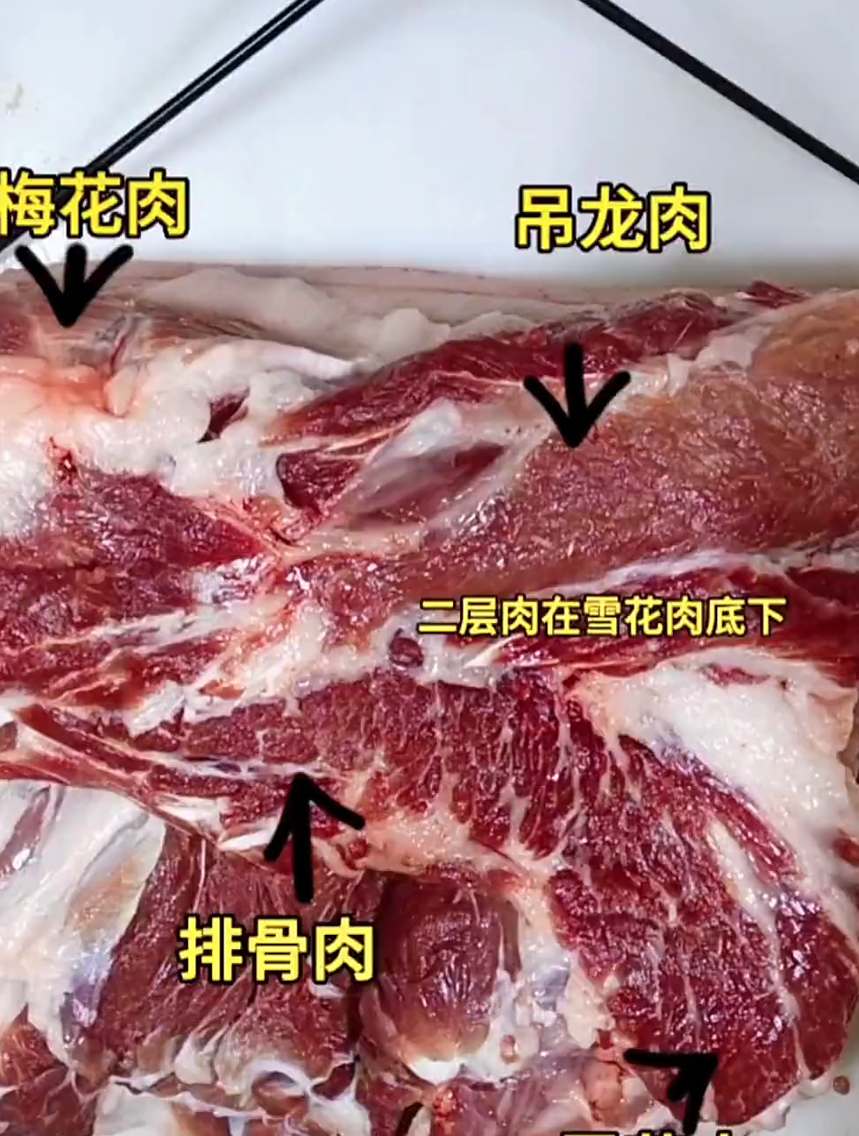 今天给大家分享前腿肉分割视频!广东这边分割方式和其他地方不同