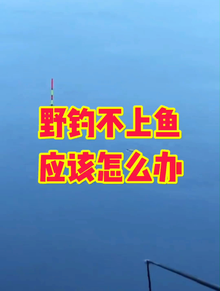 野钓不上鱼,应该怎么办?