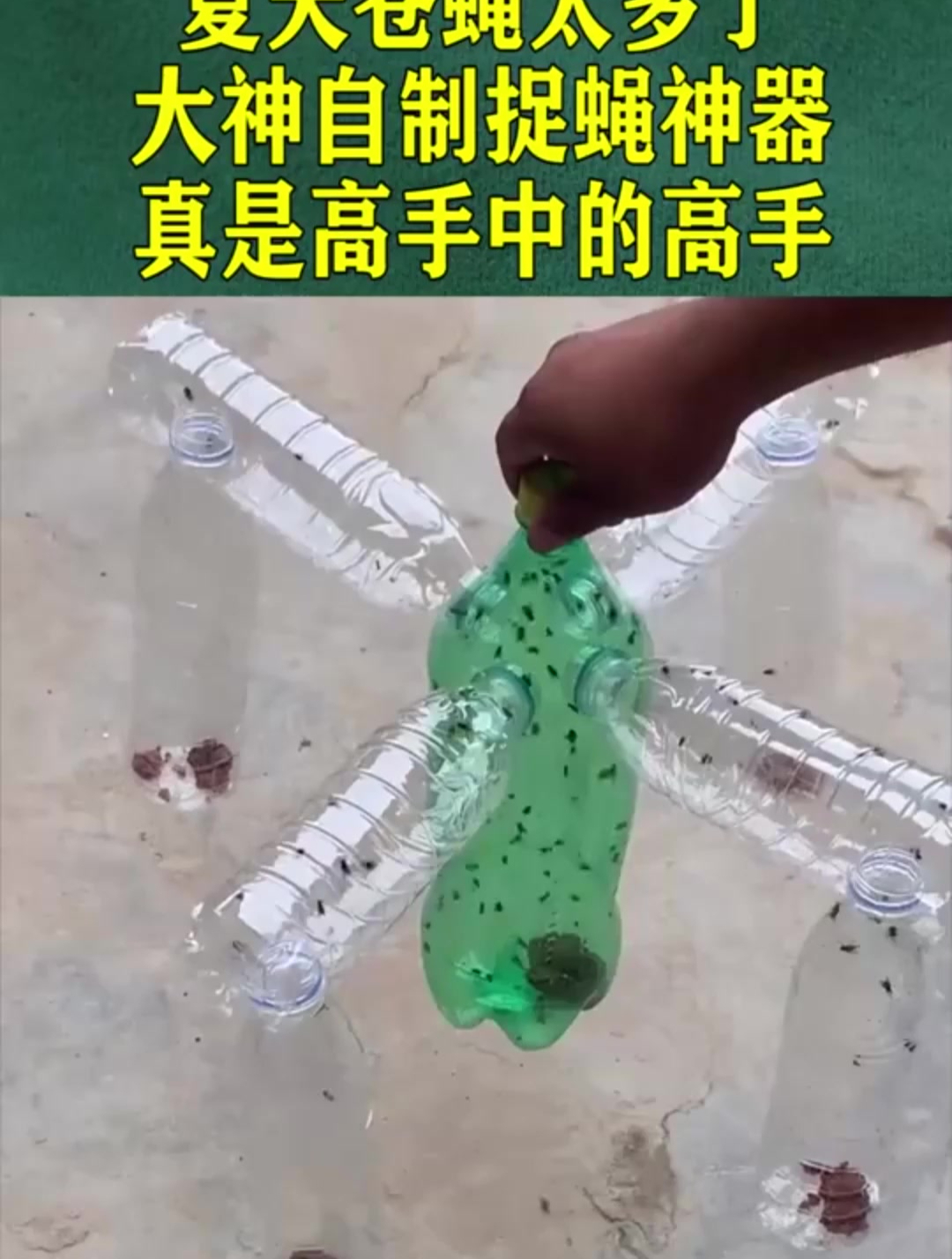 夏天苍蝇太多了,大神自制捉蝇神器,真是高手中的高手!