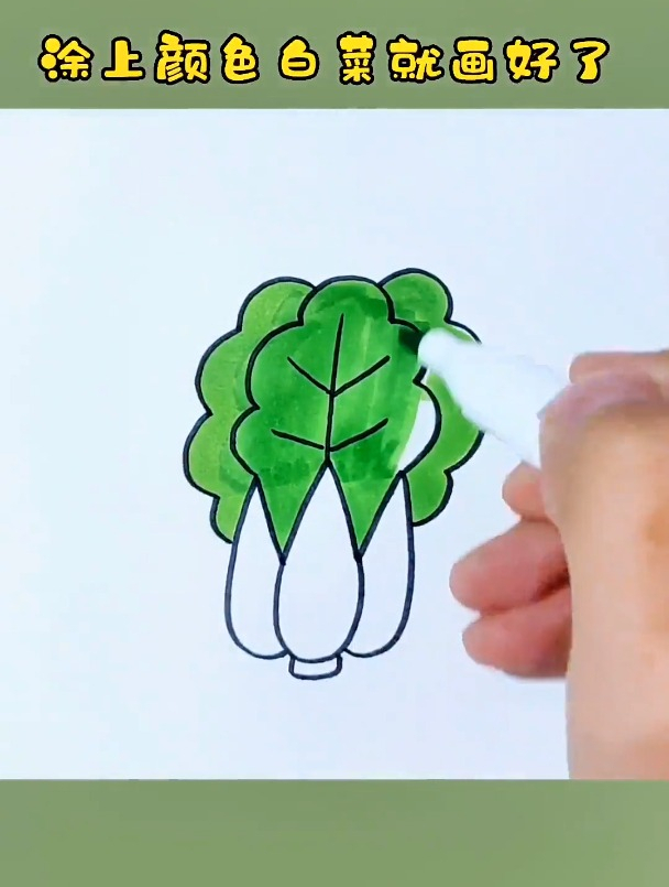 用字母W画大白菜,一学就会的白菜画法