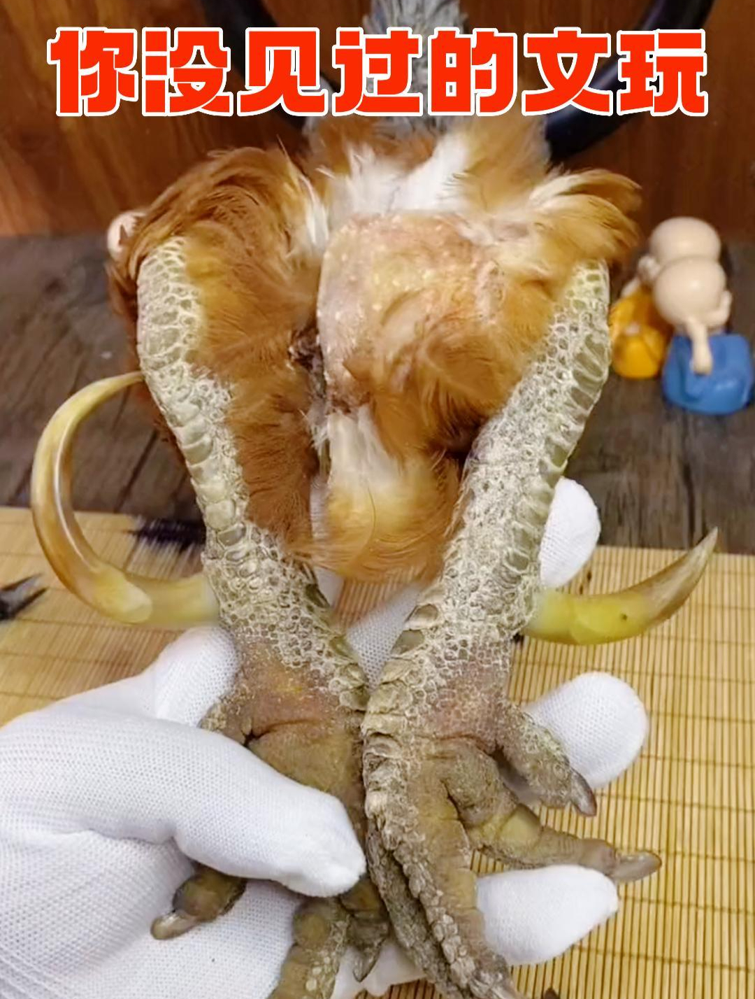 你没见过的文玩,真的鸡爪骨别再质疑了