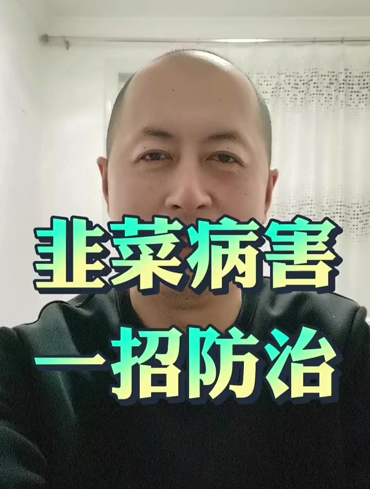 韭菜病害一招防治