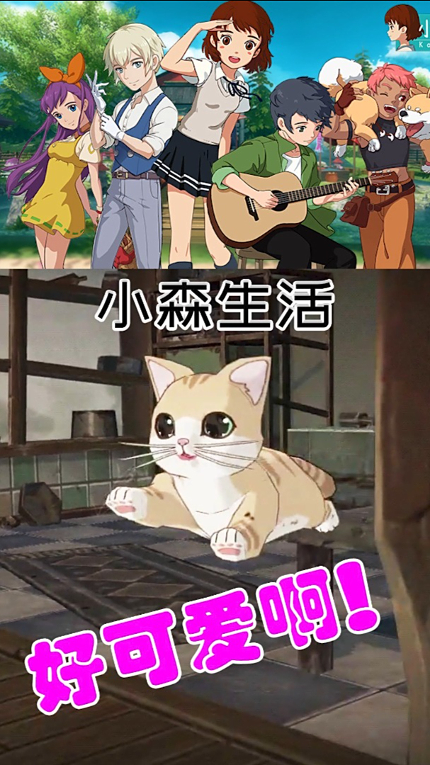「小森生活」04:破败的小屋,却遇见一只可爱的小猫