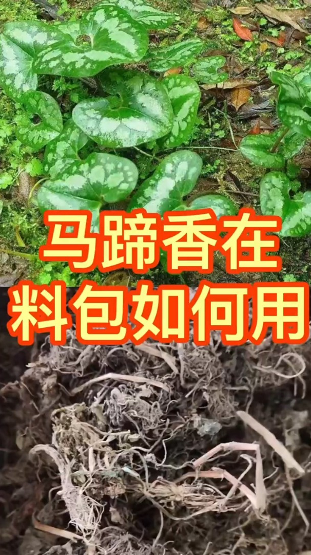马蹄香在料包里起什么作用