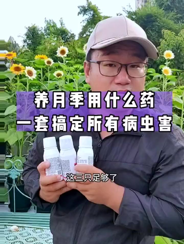 养月季用什么药?推荐量大实惠的月季养护套装,搞定所有病虫害