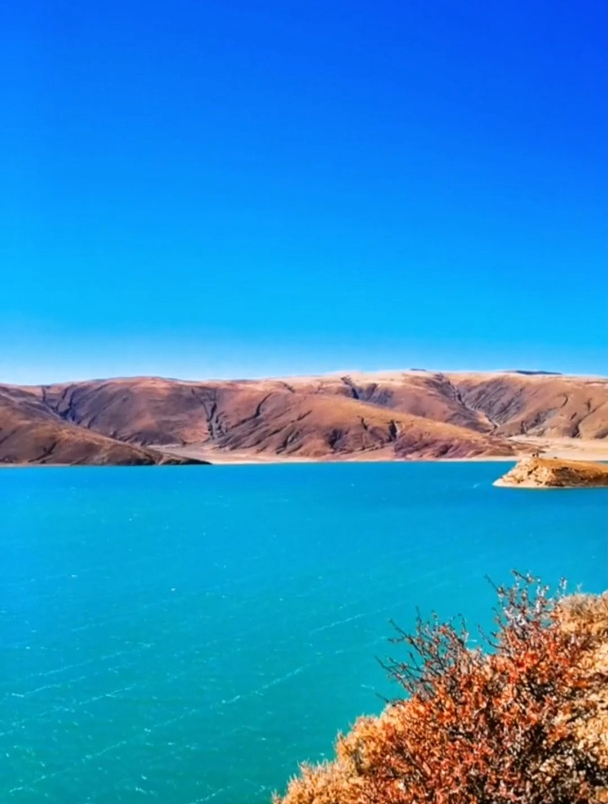 浙江的一个小山村,前几天下雪把菜园里的油菜冻坏了,冬天没什