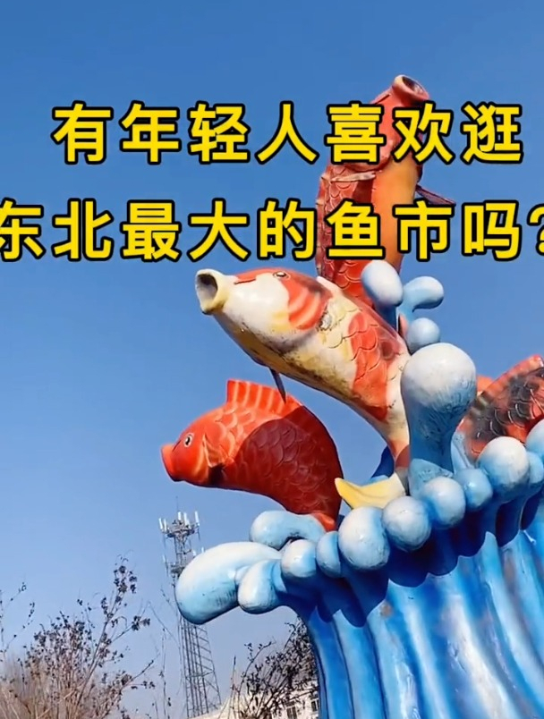 有么有年轻人喜欢逛鱼市的