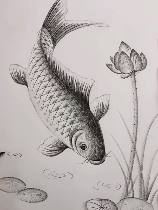 一支笔画画:漂亮的鱼