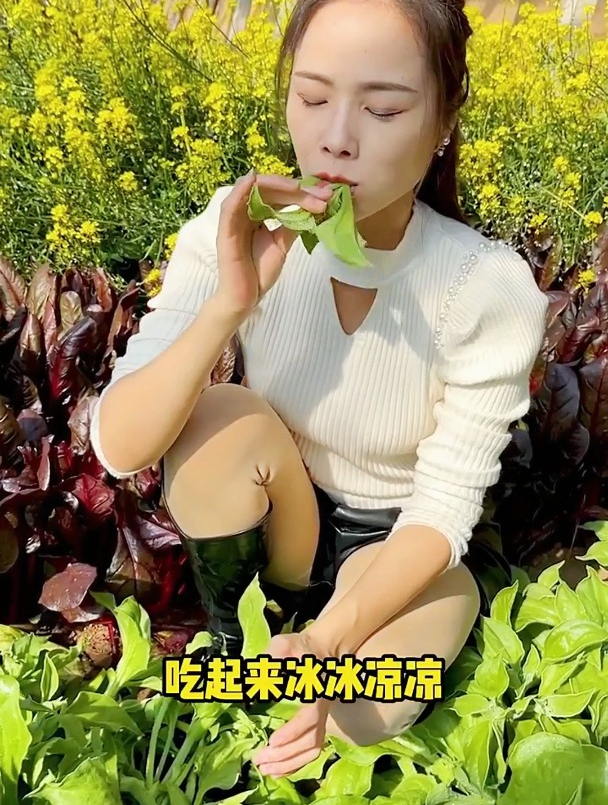 很多人都不熟悉的冰菜,拥有天然植物盐,最好吃的做法竟是生拌?
