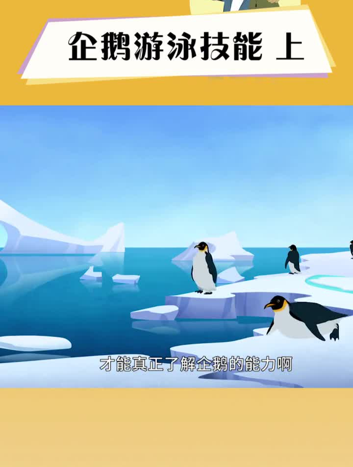 企鹅的游泳技能也十分高超