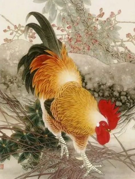 属鸡的朋友,千万别着急划走