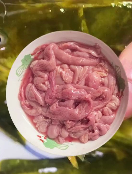 新手钓黄辣丁推荐的饵料,希望大家次次不空军!