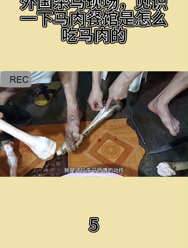 外国杀马现场,见识一下马肉餐馆是怎么吃马肉的5