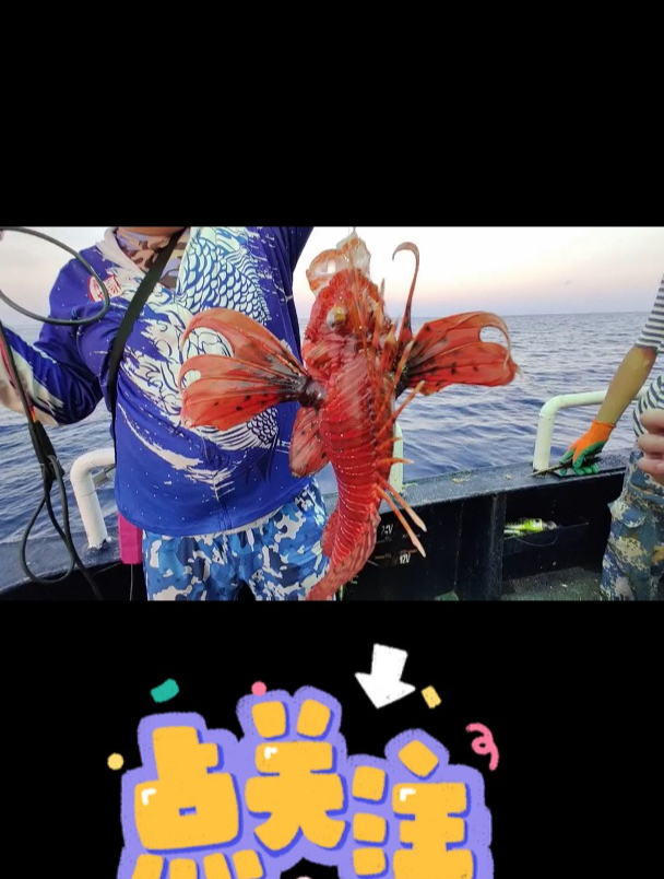 世界十大最毒海鱼中最漂亮的海鱼,有幸见过一次