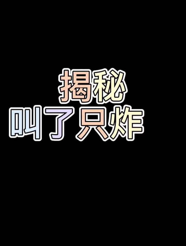炸鸡美食教程创业今天请到叫了只炸鸡创始人鸡哥揭秘叫了只炸鸡