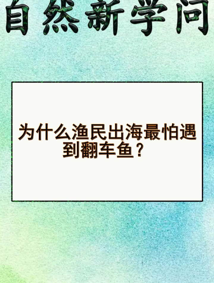 为什么渔民出海最怕遇到翻车鱼?