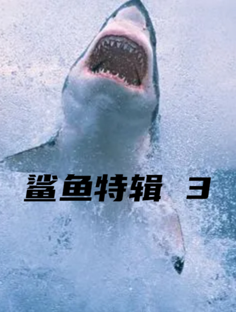 给你个喂鲨鱼的机会,你敢不敢3-3