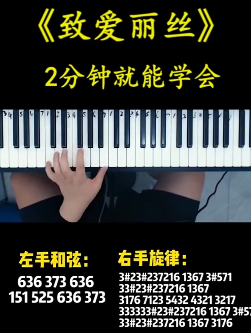 钢琴教学:2分钟教你弹奏《致爱丽丝》