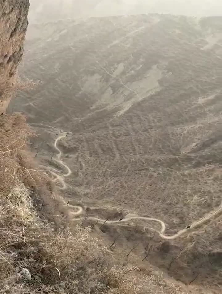 火山老铁们大家早上好,今天腊八节了,你们哪里喝腊八粥吗?