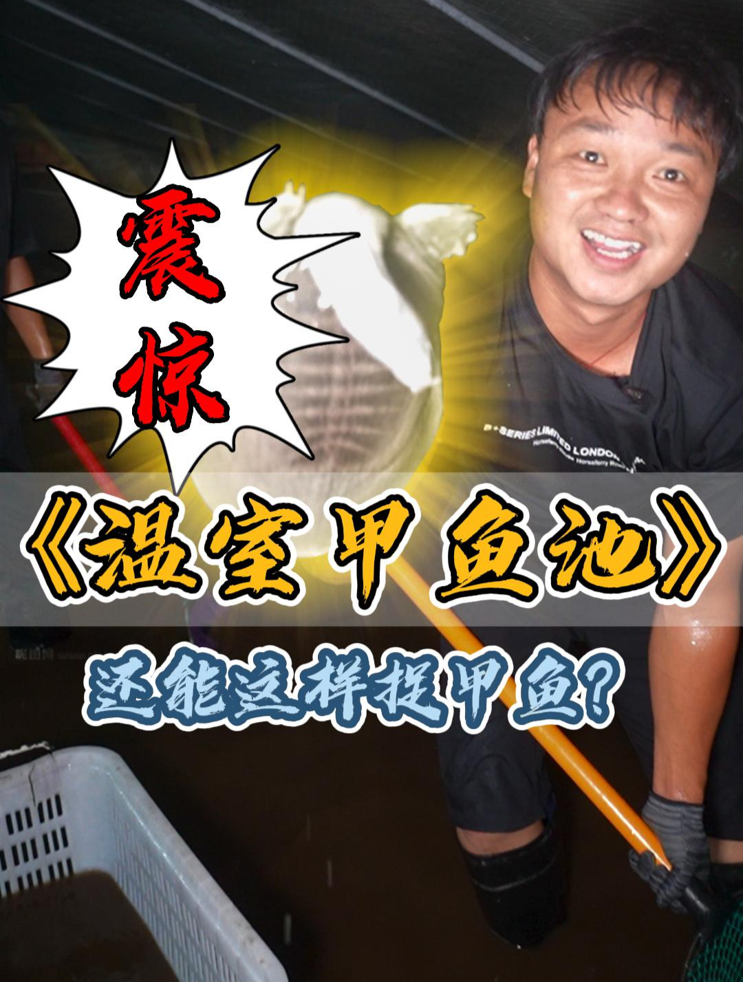 花68W包下一个温室甲鱼棚抓甲鱼,没想到里面……