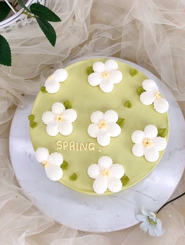 小清新治愈系奶油蛋糕,极简风