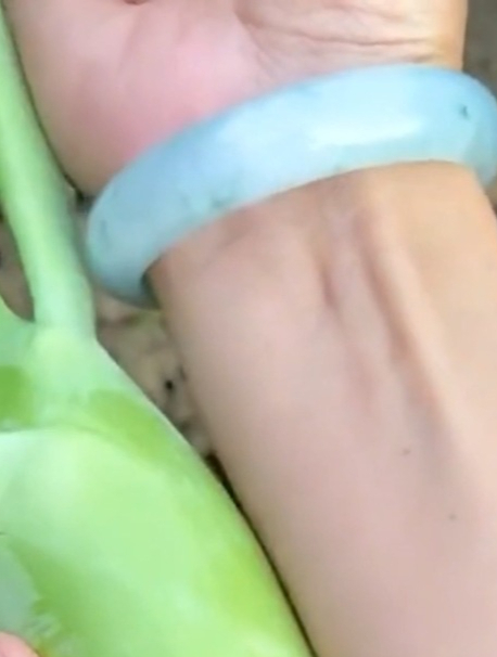 蔬菜中的绿翡翠“鸡腿芥蓝”,皮薄肉脆鲜嫩爽口,一个能炒一盘菜