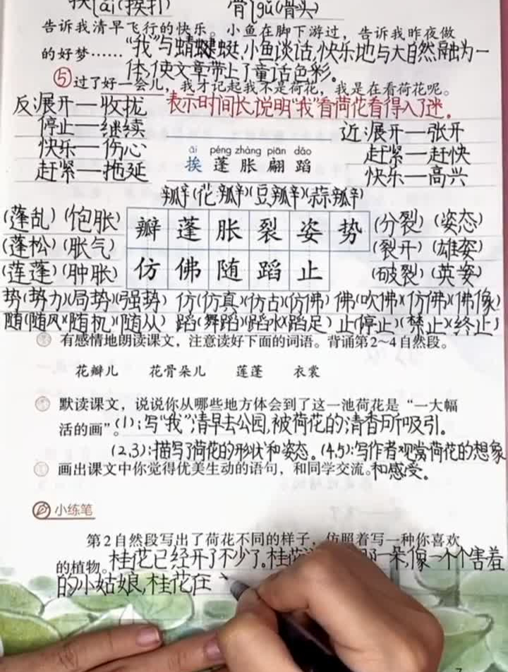 三年级第3课《荷花》课堂笔记