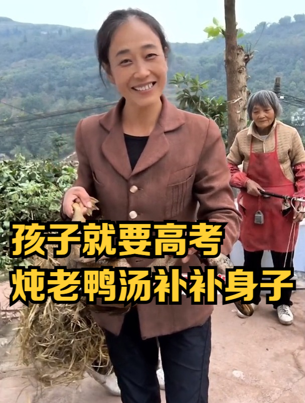 向往的乡村,孩子还有几个月就要高考了,炖点老鸭汤给她补补身子
