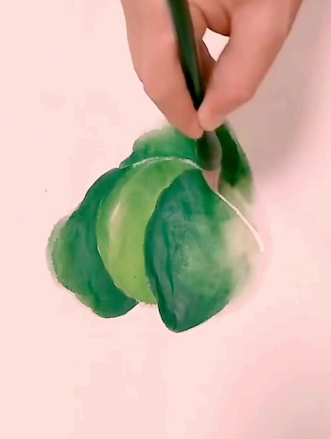 大头菜的画法,太好看了